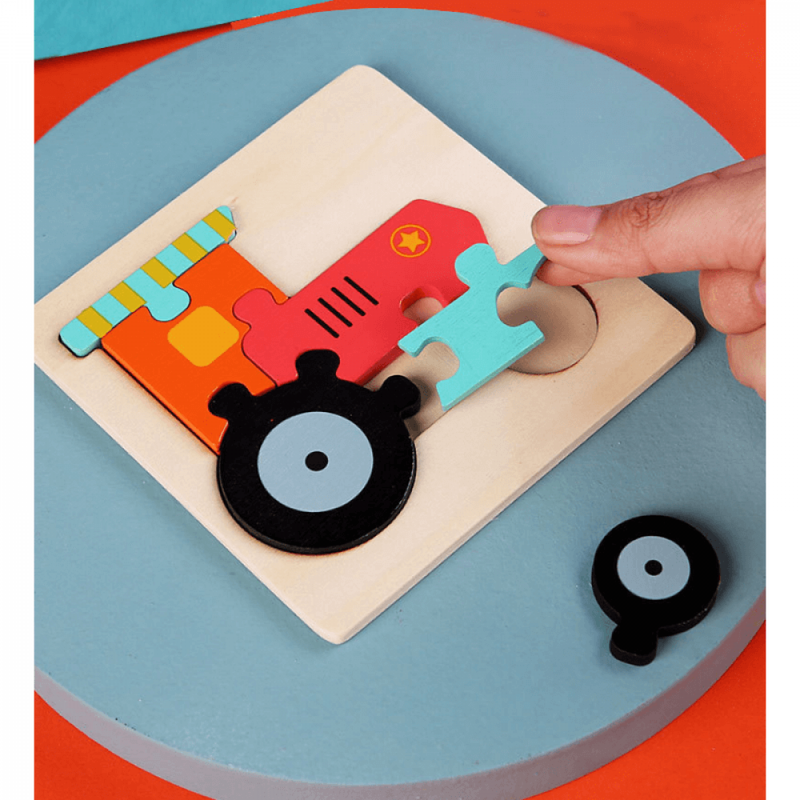 Kit Quebra-Cabeça Montessori Desenhos 3D - 12 Unidades