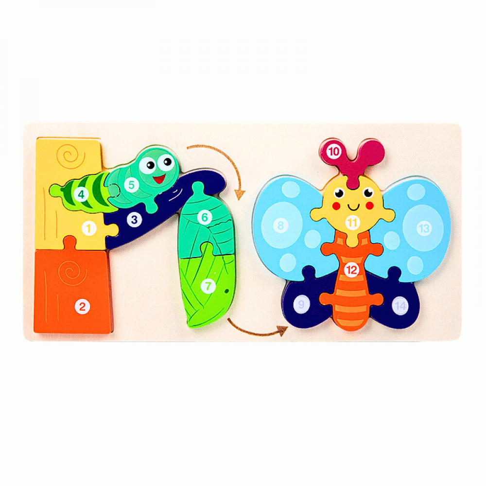 Quebra-Cabeça Educacional Montessori 3D Ciclo De Vida