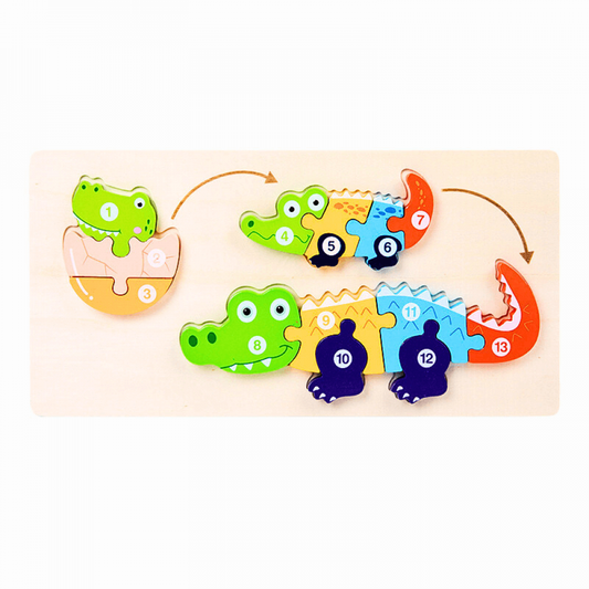 Quebra-Cabeça Educacional Montessori 3D Ciclo De Vida