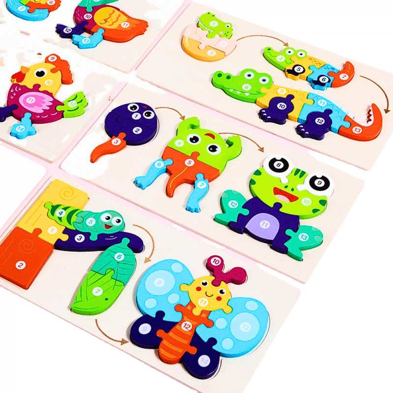 Quebra-Cabeça Educacional Montessori 3D Ciclo De Vida