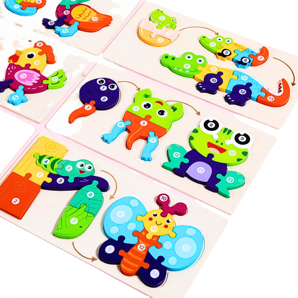 Quebra-Cabeça Educacional Montessori 3D Ciclo De Vida