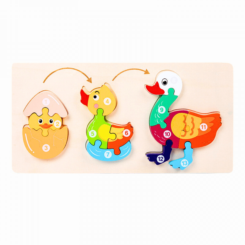 Quebra-Cabeça Educacional Montessori 3D Ciclo De Vida