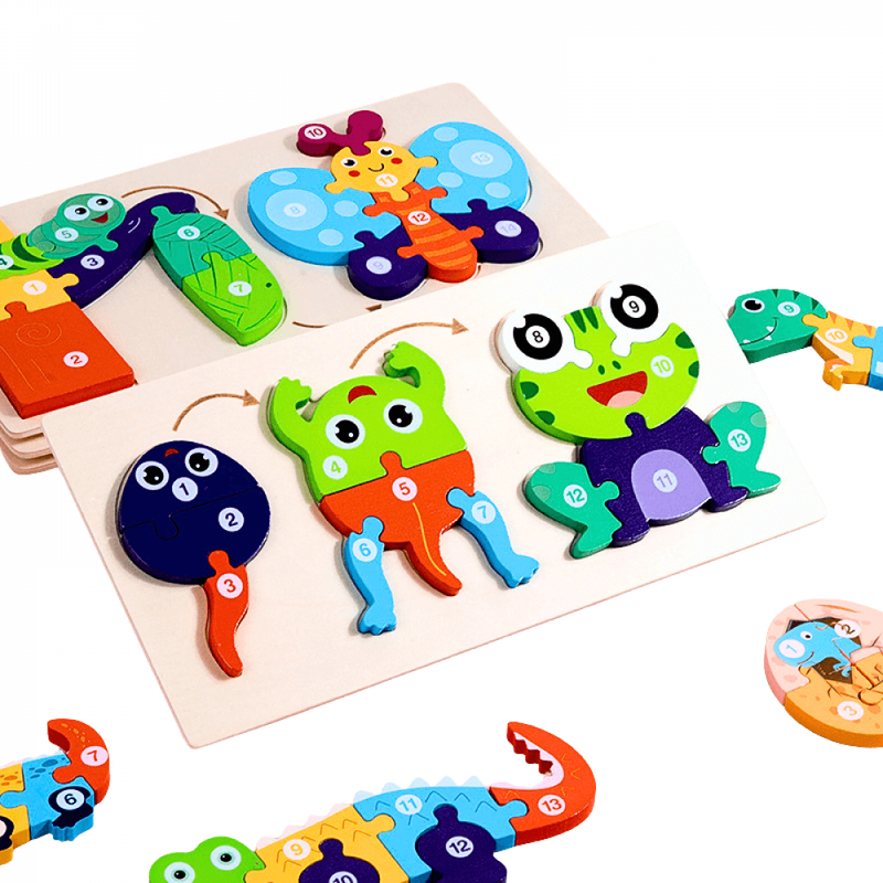 Quebra-Cabeça Educacional Montessori 3D Ciclo De Vida